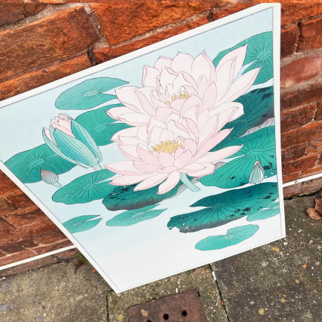 Japanese Water Lily Vintage Botanical Plant - Metal Sign