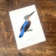 kingfisher Blue Bird - Metal Botanical Wall Sign