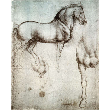 Leonardo da Vinci study of a Horse - Metal Fine Art Wall Sign