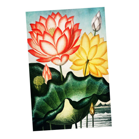 lotus Vintage Botanical Plants - Metal Sign