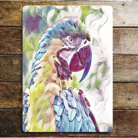 Multicolourd Parrot Wall Sign