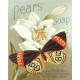 Pears Soap Butterfly - Metal Advertising Wall Sign