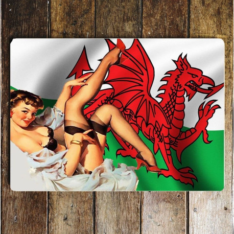 Pin Up Girl Welsh Wales Flag - Metal Personalised Art Wall Sign