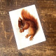 Squirrel Woodland Creature Animal  - Metal Animal Wall Sign