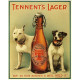 Tennents Lager Give Us Your Buisness &amp; We&#039;ll HOLD it - Metal Advertising Wall Sign