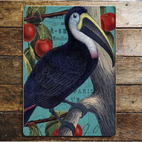 Toucan Blue- Metal Humour Wall Sign