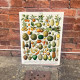 Vintage Botanical Kitchen Fruits  - Metal Art Wall Sign (1)