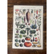 Vintage Botanical Kitchen Vegetables  - Metal Art Wall Sign