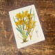 Vintage Flower illustration yellow flower  - Metal Wall Sign