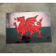 Welsh Flag Wales Dragon - Metal Travel Wall Sign