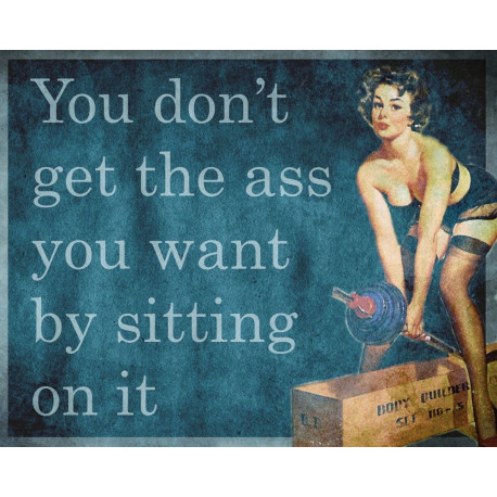 You Don't Get The Ass you want sitting On It - Pin Up Girl - Metal Travel Wall Sign