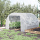 Outsunny 3 x 3 x 2 m Polytunnel Greenhouse with Roll-up Side Walls, Walk-in Grow House Tent with Steel Frame, Reinforced Cover, 