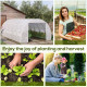 Outsunny 6 x 3 x 2 m Polytunnel Greenhouse with Roll-up Side Walls, Walk-in Grow House Tent with Steel Frame, Reinforced Cover, 