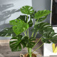 Decorative Artificial Monstera Plants in Pot Fake Plants for Home Indoor Outdoor Decor, 85cm