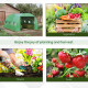 Outsunny Walk-in Polytunnel Greenhouse, Outdoor Garden Tunnel Greenhouse Tent with Zipped Roll-Up Door and 6 Mesh Windows, 4 x 3