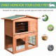 PawHut Rabbit Hutch Outdoor Guinea Pig Hutch 2-Tier Bunny Cage with No-Leak Tray 100.5 x 55 x 101 cm