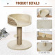 PawHut Cat Tree Cat Scratching Post for Indoor Cats Kitten Play Tower Activity Centre Climbing Stand with Dangling Ball Beige