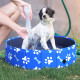 PawHut Foldable Dog Paddling Pool Pet Cat Swimming Pool Indoor/Outdoor Collapsible Bathing Tub Shower Tub Puppy Φ80 × 20H cm S S