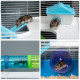 PawHut Hamster Cage with Tunnel Tube System, 5 Level Gerbil Haven with Water Bottle, Exercise Wheel, Food Dish, Ramps 59 cm x 36