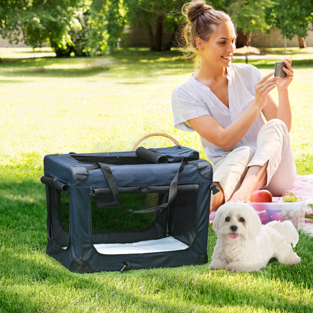 PawHut Foldable Pet Carrier for Small and Miniature Dogs, Portable Cat Carrier Soft Side Pet Travel Crate with Removable Mat, St