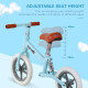 12&quot; Kids Balance Bike No Pedal Bicycle EVA Tire Adjustable Seat Toddler Training Bike W/ Shock Absorber 2 - 5 Years Gift for Boy