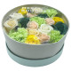 Round Box - Spring Celibrations - Yellow &amp; Greens