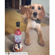 Posh Pooch - Pawsecco Rosé Wine For Dogs