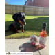 Posh Pooch - Pawsecco Rosé Wine For Dogs