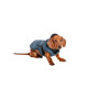 Danish Design - Blue 2-in-1 Ultimate Dog Coat