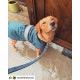 Danish Design - Blue 2-in-1 Ultimate Dog Coat