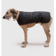 Danish Design - Black Harness Dog Coat