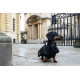 Country &amp; Twee - Dachshund Underbelly Coat - Black