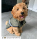 Danish Design - Khaki 2-in-1 Ultimate Dog Coat