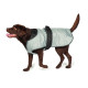 Danish Design - Grey/Black 2-in-1 Ultimate Dog Coat