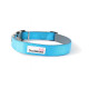 Doodlebone Bold Padded Dog Collar - Cyan