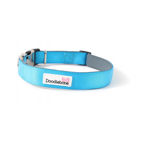 Doodlebone Bold Padded Dog Collar - Cyan