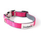 Doodlebone Bold Range Padded Dog Collar - Neon Pink