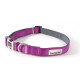 Doodlebone Bold Padded Dog Collar - Purple