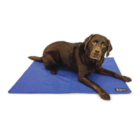 Danish Design - Dog Cooling Mat