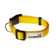 Doodlebone Bold Dog Collar - Yellow