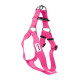 Doodlebone Bold Dog Harness - Various Colours