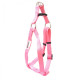 Doodlebone Bold Dog Harness - Various Colours