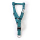 Doodlebone Bold Dog Harness - Various Colours