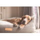 Ralph &amp; Co - Lincoln Herringbone Nest Dog Bed