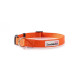 Doodlebone - Originals Dog Collar - Orange