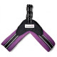 Doodlebone Boomerang Dog Harness - Purple