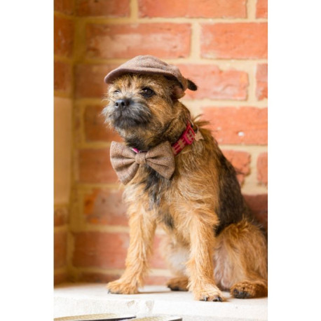 Brown Tweed Dog Bow Tie & Dog Hat Set