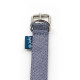 Project Blue - Bengal Eco Dog Collar