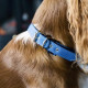 Project Blu - Zambezi Eco Dog Collar