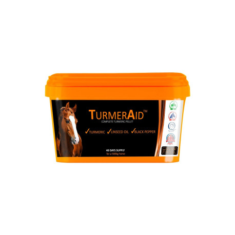 The Golden Paste Company - TurmerAid 2kg Tub